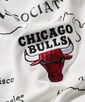 NBA別注 「CHICAGO BULLS」Tシャツ